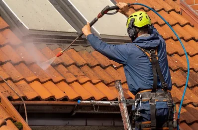 Démoussage et hydrofuge de toiture à Arbresle